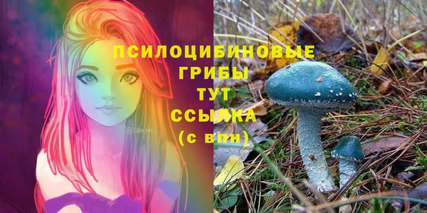 мяу мяу кристалл Алексин